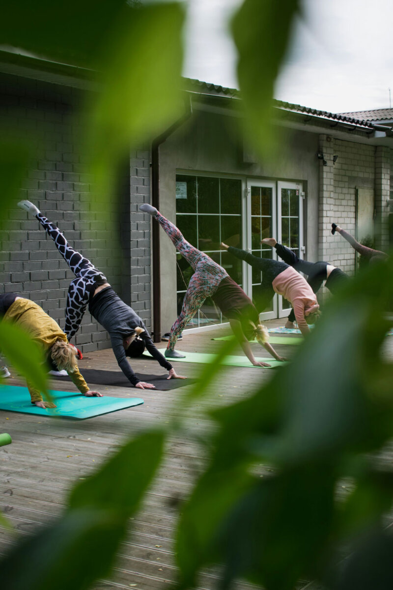 Gut für den Darm, gut für die Seele: Wie Probiotika und Self-Care Hand in Hand gehen: Darmgesundheit, Probiotika, Darm-Hirn-Achse, seelische Gesundheit, Darm,